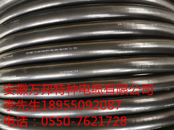 15895096755448.jpg W11.jpg