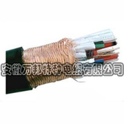 F46耐高溫防腐計(jì)算機(jī)電纜