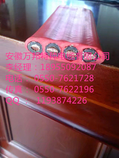 安徽萬(wàn)邦特種電纜有限公司