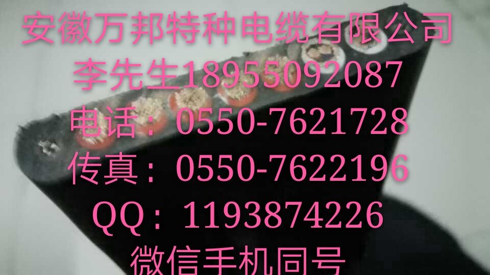 安徽萬(wàn)邦特種電纜有限公司