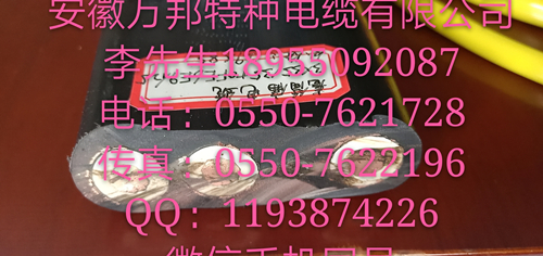 安徽萬(wàn)邦特種電纜有限公司