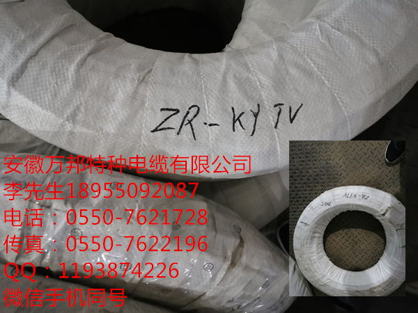 安徽萬(wàn)邦特種電纜有限公司