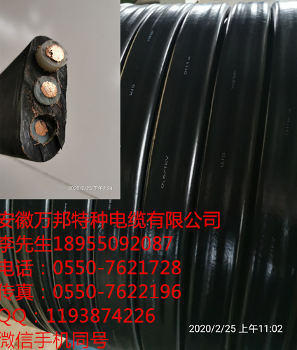 安徽萬(wàn)邦特種電纜有限公司，YFFBJ 3*10+6*2.5